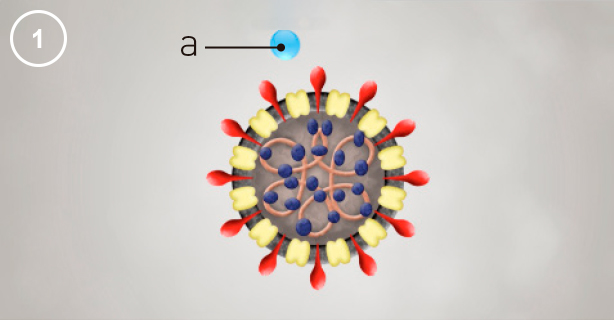 まお　Nano 【27】Bacteria 【0】おまとめ NANOE SITE. EFFECTS OF NANOE. 02 BACTERIA & VIRUSES - Panasonic